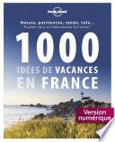 1000 idées de vacances en France