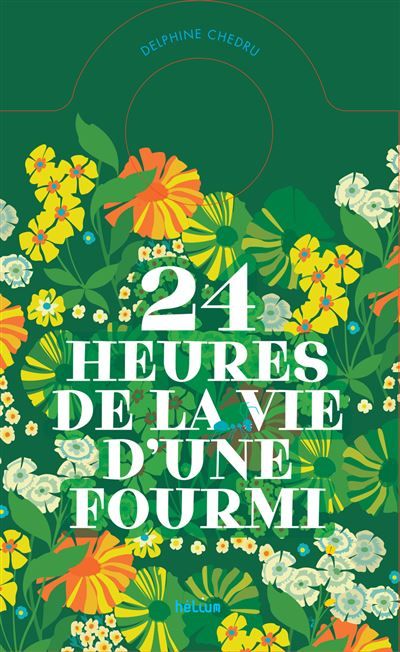 24 heures de la vie d'une fourmi Un livre-horloge