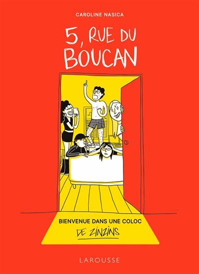 5,  Rue du Boucan Bienvenue dans une colloc de zinzins
