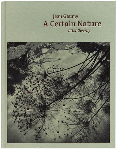 A Certain Nature After Giverny