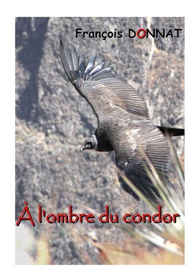 À l'ombre du condor - François Donnat - Books On Demand