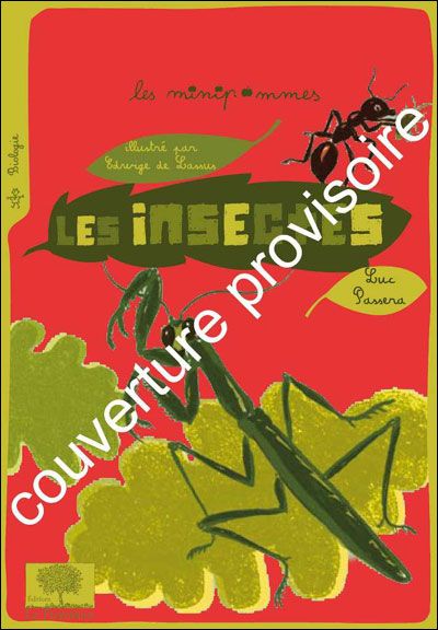 À la chasse aux insectes
