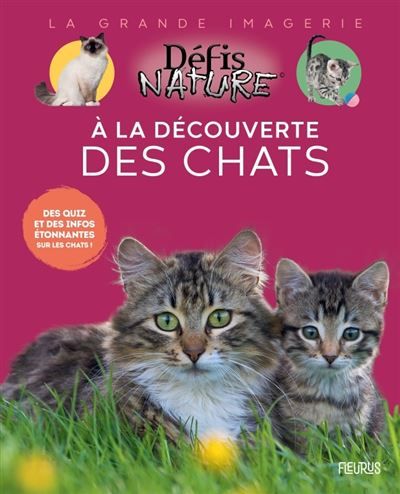 Couverture de À la découverte des chats par Marie-Alice Trochet