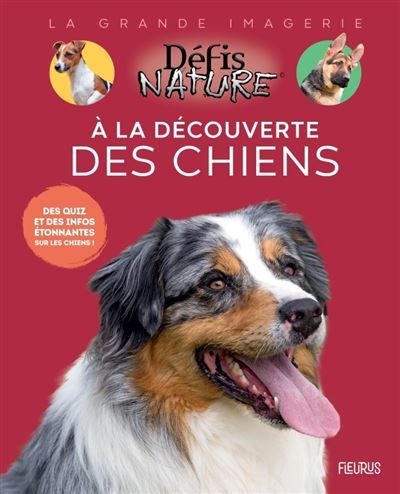 À la découverte des chiens
