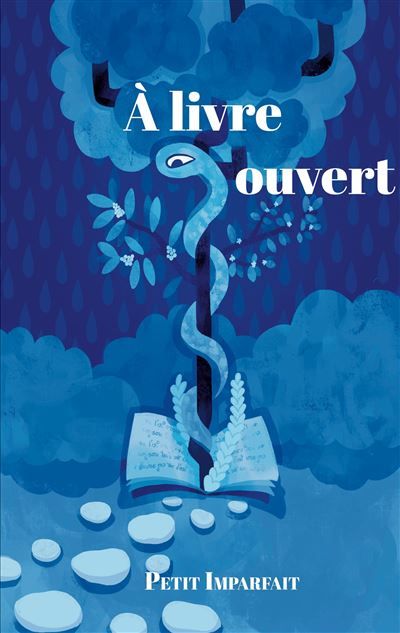 A livre ouvert - Petit Imparfait - Books On Demand