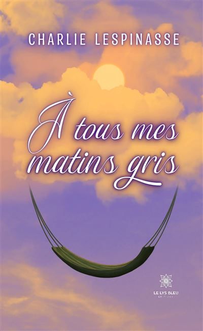 À tous mes matins gris