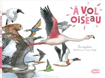 Couverture de À vol d'oiseau Edition 2016 par Michel Francesconi