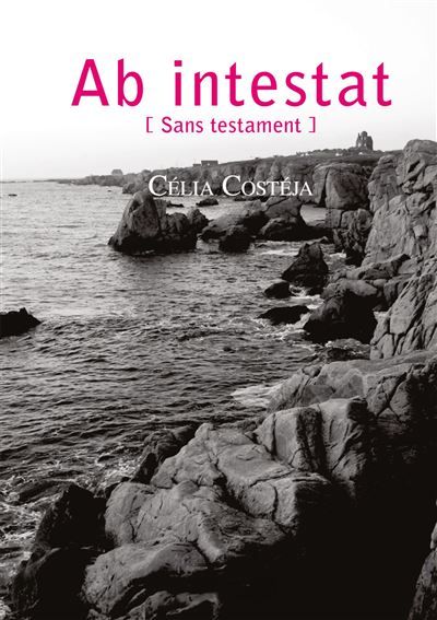 Ab intestat Sans testament - Celia Costeja - Books On Demand