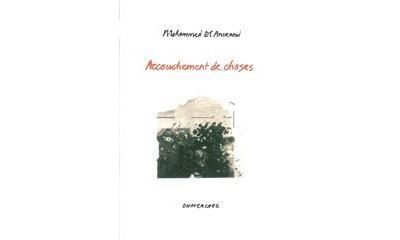 Accouchement de Choses-