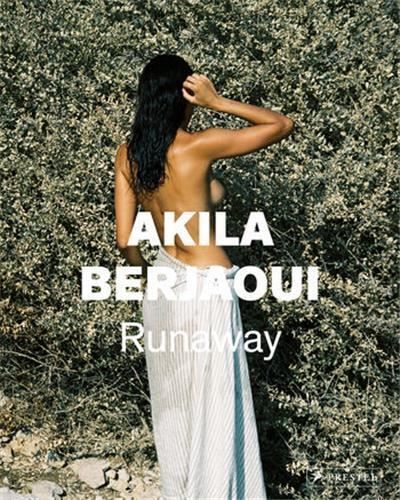 Akila Berjaoui The Possible Dream /anglais