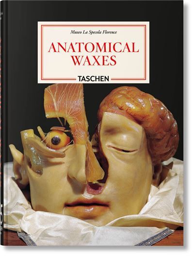 Anatomical Waxes 45th Ed.