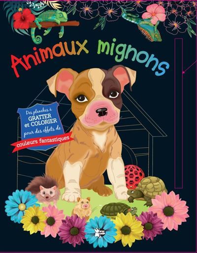 Animaux Mignons