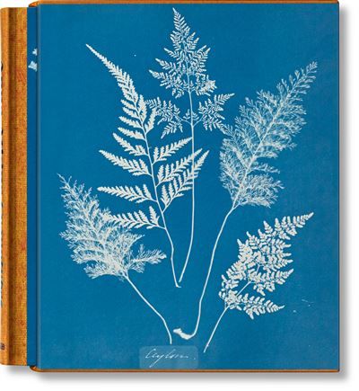 Anna Atkins Cyanotypes