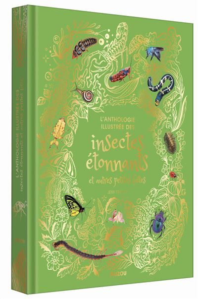 Anthologie illustrée des insectes étonnants et autres petites bêtes - Sylvie Lucas