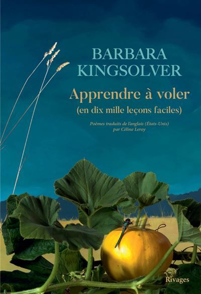 Apprendre à voler (En 10000 leçons faciles)