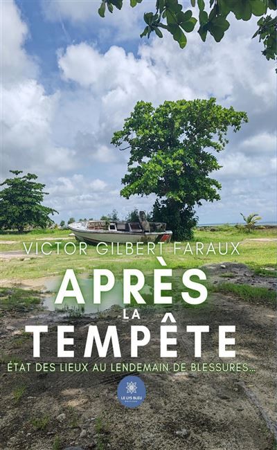 Après la tempête État des lieux au lendemain de blessures...