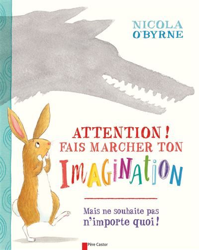 Attention ! Fais marcher ton imagination Mais ne souhaite pas n'importe quoi !