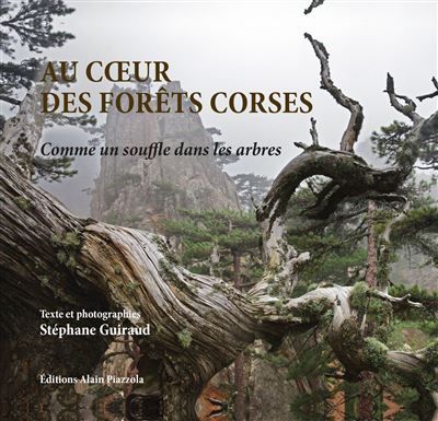 Au coeur des forêts corses Comme un souffle dans les arbres