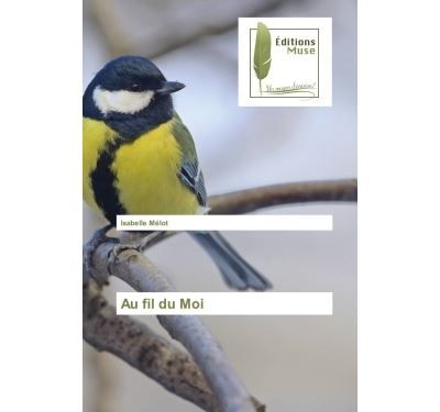 Au fil du Moi