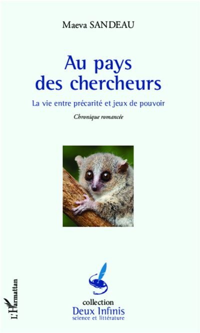 Au pays des chercheurs La vie entre précarité et jeux de pouvoir - Chronique romancée