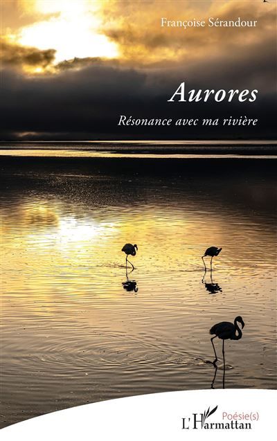 Aurores Résonance avec ma rivière