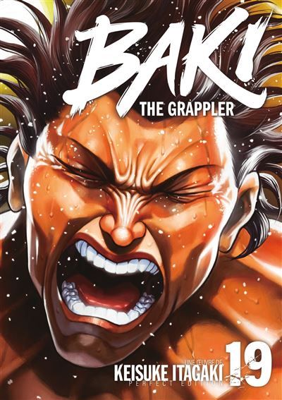 Baki the Grappler - Tome 19 - Perfect Edition
