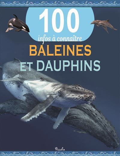 Baleines et dauphins 100 infos à connaître