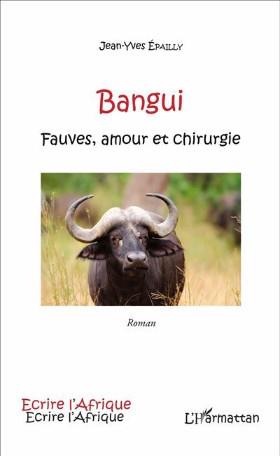 Bangui Fauves, amour et chirurgie - Roman