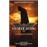 Batman begins
