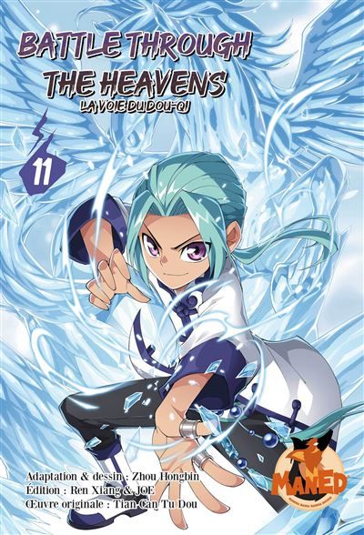 Battle Through The Heavens - Tome 11 La voie du dou-qi