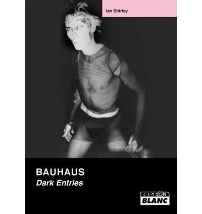 Bauhaus : Dark Entries