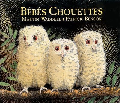 Bébés Chouettes -  - Patrick Benson