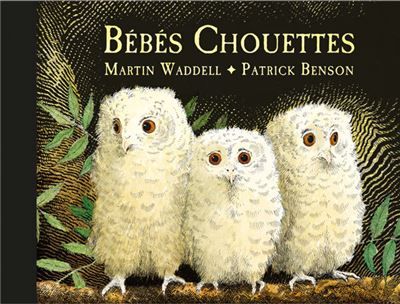Bébés Chouettes - Patrick Benson