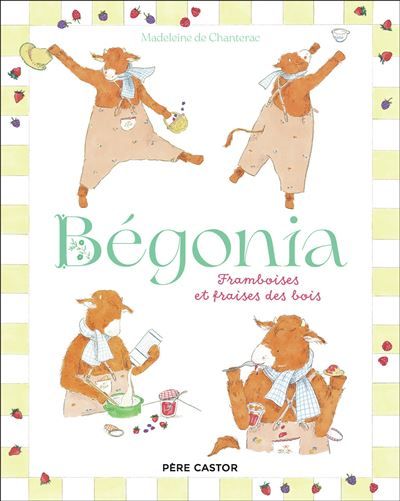 Bégonia Framboises et fraises des bois