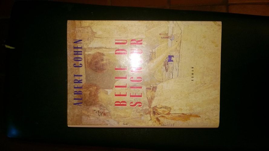 Belle du seigneur : roman