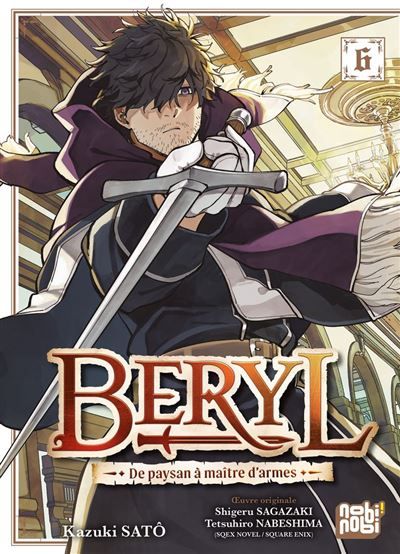 Beryl : de paysan à maître d'armes T06