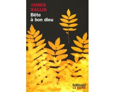 Bête à bon dieu Une enquête de Lew Griffin