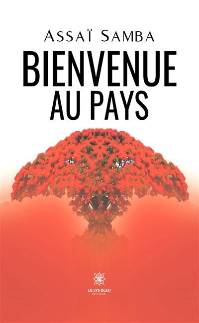 Bienvenue au pays
