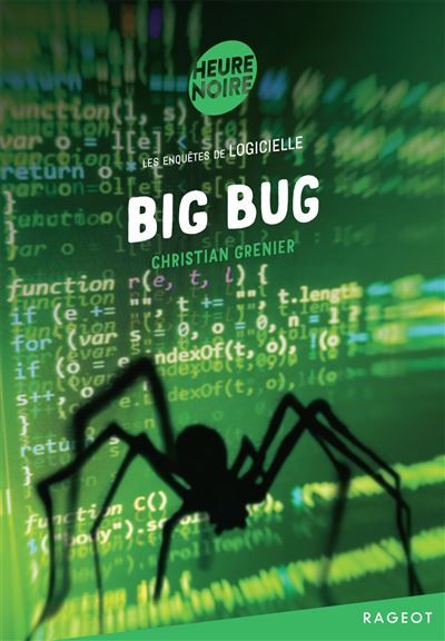 Big bug Les enquêtes de Logicielle