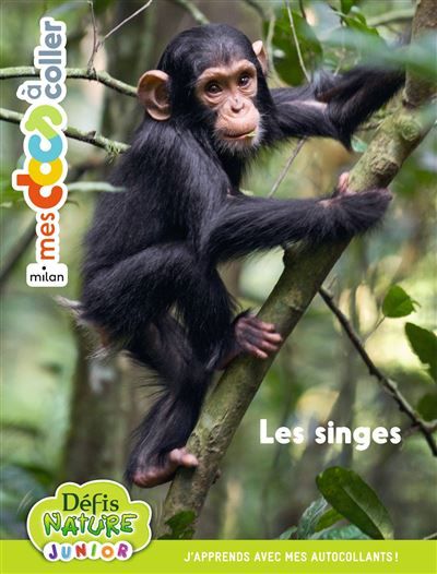Bioviva - Les singes + autocollants