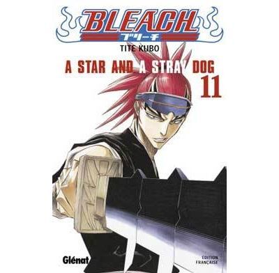 Bleach - Tome 11 A star and a stray dog