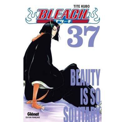 Bleach - Tome 37 Beauty is so solitary