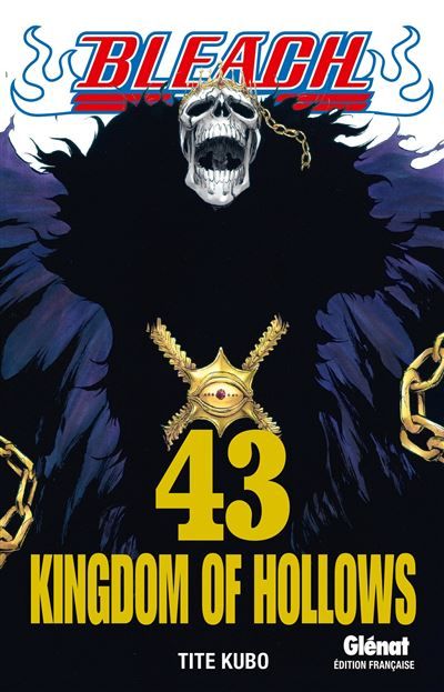 Bleach - Tome 43 Kingdom of hollows