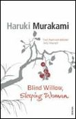 Blind willow sleeping woman