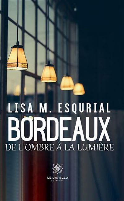 Bordeaux, de l'ombre à la lumière De l'ombre à la lumière