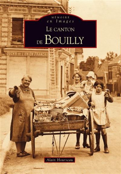 Bouilly (Canton de)