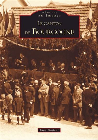 Bourgogne (Canton de)