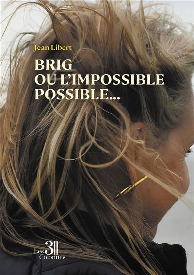 Brig ou l'impossible possible... Chroniques d'un amour au temps du virtuel
