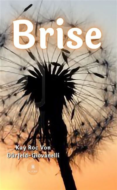 Brise