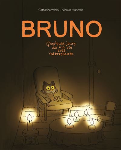 Bruno quelques jours de ma vie tres interessante Quelques jours de ma vie très intéressante - Nicolas Hubesch